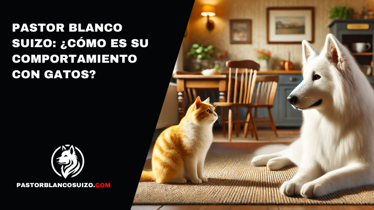 Pastor Blanco Suizo: ¿Cómo es su comportamiento con gatos?